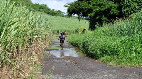 Mit dem Fahrrad Martinique entdecken